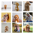 Photo magnets - (set of 9)